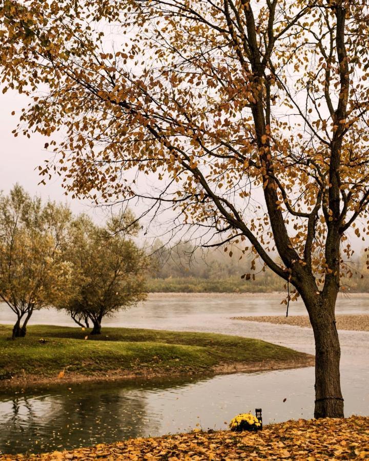 Drinska Laguna Banja Koviljača Buitenkant foto