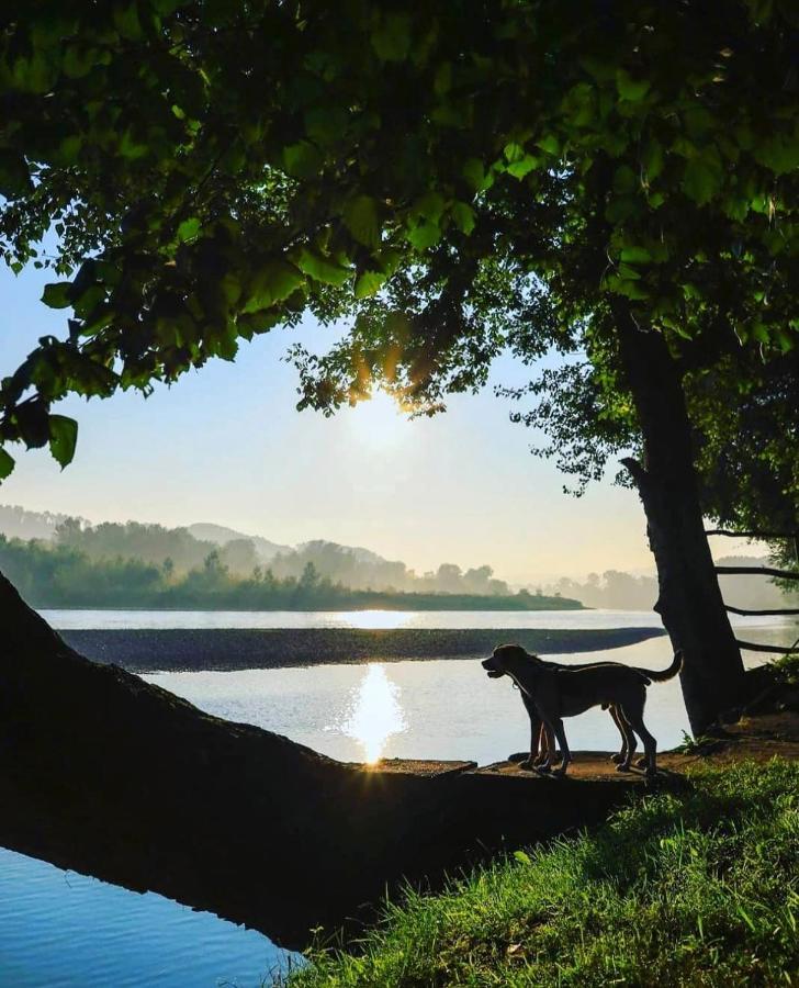 Drinska Laguna Banja Koviljača Buitenkant foto